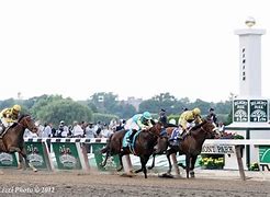 Image result for Belmont Stakes Contenders