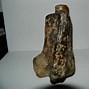 Image result for Petrified Bone with Red M Marrow