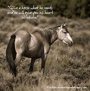 Image result for Horse Race Quotes