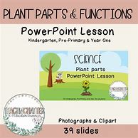 Image result for Plants Lesson Plan