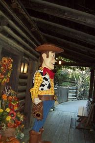Image result for Toy Story Woody Disneyland
