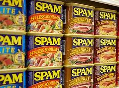 Image result for Spam Brand