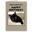 Image result for Cat Furry Happy Birthday