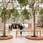 Image result for Apple Store Trees