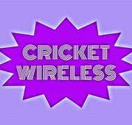 Image result for Cricket Insect in Hindi