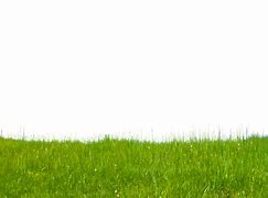 Image result for Hill Grass Texture