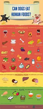 Image result for Toxic Foods Dogs Should Not Eat