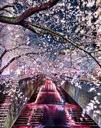 Image result for Japan Photography 1920X1080