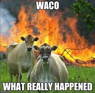 Image result for Legendary Cow Meme