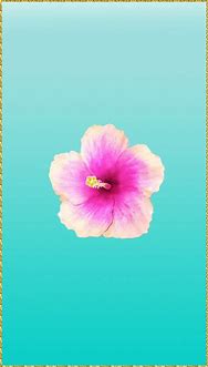Image result for Rose Gold Floral iPhone Wallpaper