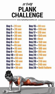 Image result for 16-Day Plank Challenge for Beginners