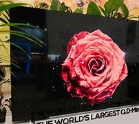 Image result for 115 Inch TV