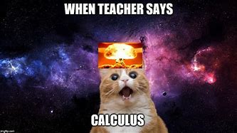 Image result for Big Brain Cat Meme