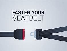 Image result for Blue Jay Seat Belt Safety