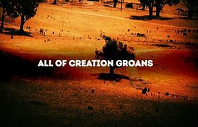 Image result for All Creation Groans