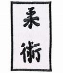Image result for Jiu Jitsu Kaizen
