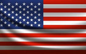 Image result for United States of America Flag