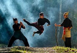 Image result for Silat