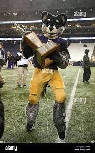 Image result for Husky Stadium Apple Cup