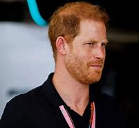 Image result for Prince Harry Household Necktie