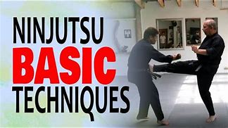 Image result for Ninjutsu Techniques