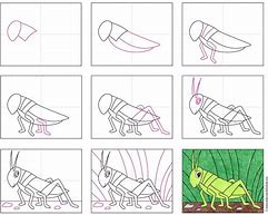 Image result for Grasshopper Drawing
