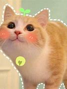 Image result for Kawaii Cat Meme