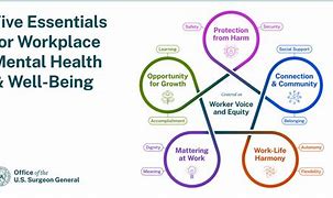 Image result for 5 CS of Well-Being
