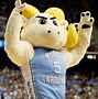 Image result for Lehigh University Mascot