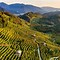 Image result for A G Ferrari Prosecco di Conegliano Valdobbiadene Sogno di Annibale