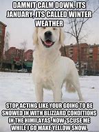 Image result for Funny Weather Memes