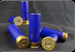 Image result for Protecta Shotgun