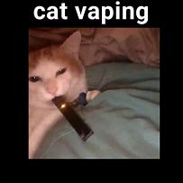 Image result for Cat Vaping Meme