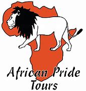 Image result for African Pride Africa Logo