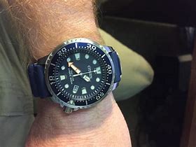 Image result for 40 mm Dive Watch On Wrist