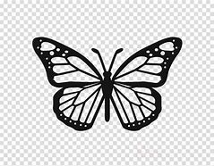 Image result for Transparent Butterfly Clip Art Black