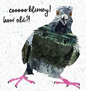Image result for Funky Pigeon Birthday Cards LOL