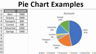 Image result for Pie Chart Graph Examples