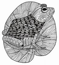 Image result for Intricate Animal Coloring Pages
