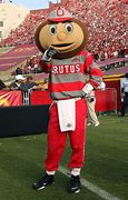 Image result for Ohio State Football Mascot Brutus