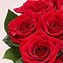 Image result for 2 Dozen Red Roses