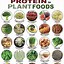 Image result for Best Plant-Based Protein Sources