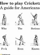 Image result for Funny Cricket Memes Insects