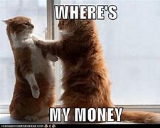 Image result for Meme Cat at Cash Register