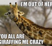 Image result for I'm a Giraffe Meme