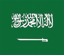 Image result for Saudi Arabia Symbol