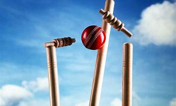 Image result for Cricket Ball Wallpaper HD White Background