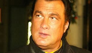 Image result for Actor Steven Seagal