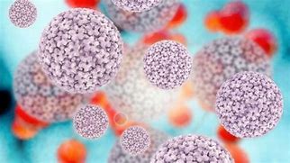 Image result for Human Papillomavirus Infection Cervical Cancer