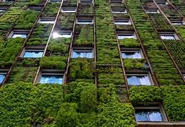 Image result for Green Building IPB